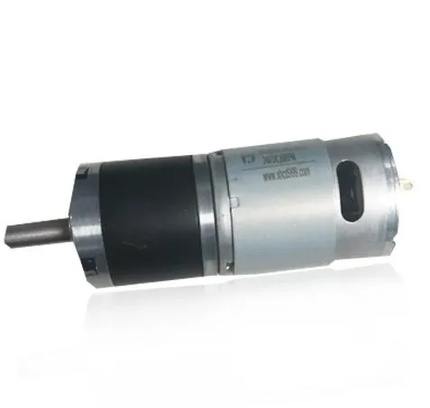 12V Gear Motor Pg36-RS555 DC Gearmotor 10rpm 80rpm 260rpm Electrical Motor with 36mm Planetary Gearbox