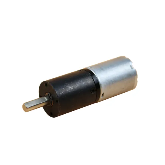 Mini Size 24xj370 Electric DC Motor 24mm 12 Volt 24 Volt Brushed DC Planetary Gear Motor with Encoder