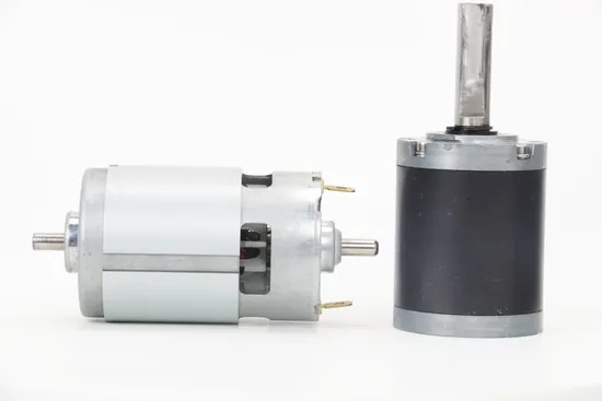 RS775 Electric Brushed DC Motor 42mm High Torque Pg42-775 12V 24V DC Planetary Gear Motor for Robot