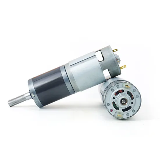 RS775 Electric Brushed DC Motor 42mm High Torque Pg42-775 12V 24V DC Planetary Gear Motor for Robot