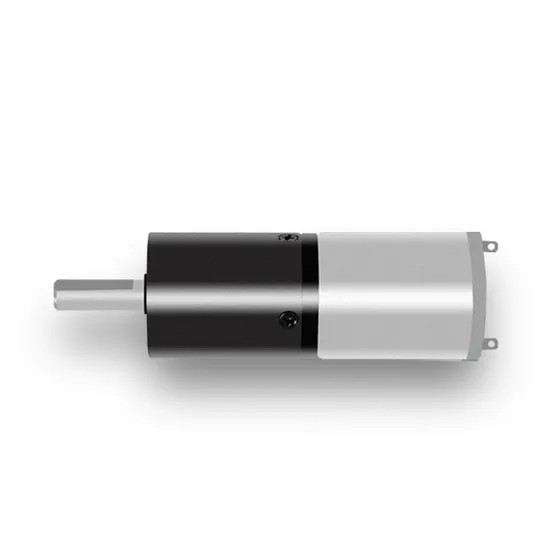 Small Size 24mm Planetary Gear Motor 12V 24V Big Torque Pg24-370 Electric DC Motor with Encoder