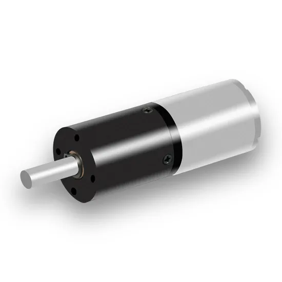 Small Size 24mm Planetary Gear Motor 12V 24V Big Torque Pg24-370 Electric DC Motor with Encoder