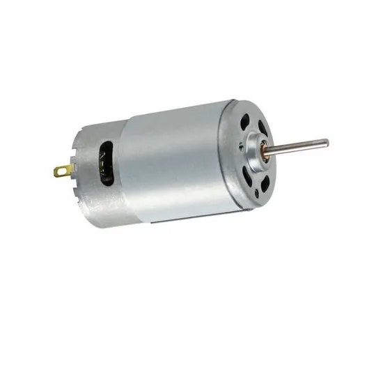 12V 24V 28mm Diameter Micro DC Motor RS390/395 Electric Brushed DC Motor for Juicer