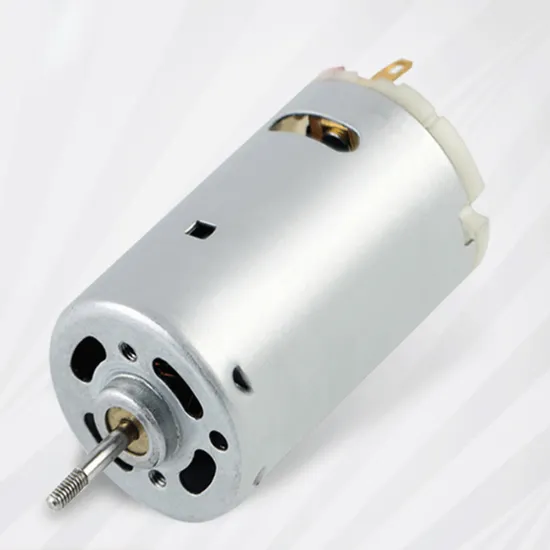 12V 24V 36V Brushed DC Motor 28mm Diameter RS390/395 Micro DC Motor for Electric Tools