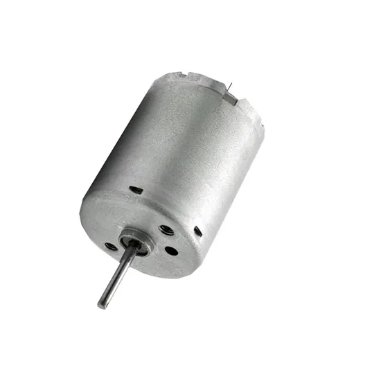 24mm Diameter 12V 24V Micro DC Motor RS370 Mini Size Brushed Electric DC Motor for Robot