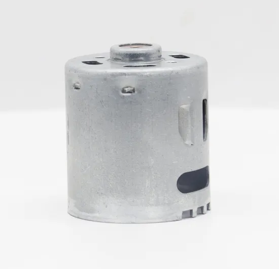 28mm Permanent Magnet DC Motor RS360 RS365 12V 24V Electric Mini DC Motor with Customizable Service