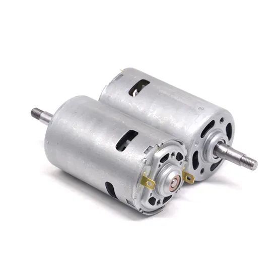 42mm Small Electric DC Motor RS770 RS775 Brushed Micro 12V 24V DC Motor with Ball Bearings