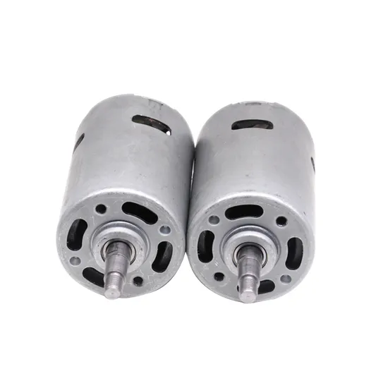 42mm Small Electric DC Motor RS770 RS775 Brushed Micro 12V 24V DC Motor with Ball Bearings