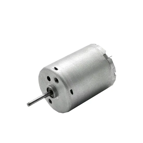 RS370 Micro Permanent Magnet DC Motor 24mm 12V 24V 12000rpm Brushed Electric Motor for Pump