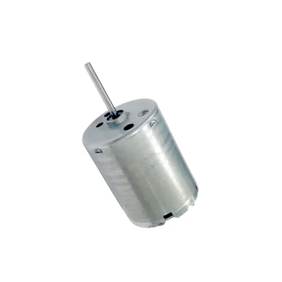 RS370 Micro Permanent Magnet DC Motor 24mm 12V 24V 12000rpm Brushed Electric Motor for Pump