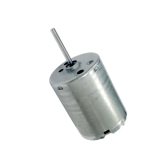 RS370 Micro Permanent Magnet DC Motor 24mm 12V 24V 12000rpm Brushed Electric Motor for Pump