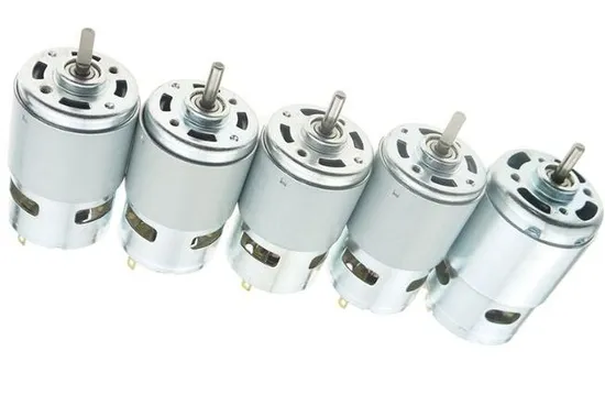 RS390/395 High Speed Electric DC Motor 28mm 12V 24V 36V Micro Brushed DC Motor for Juicer