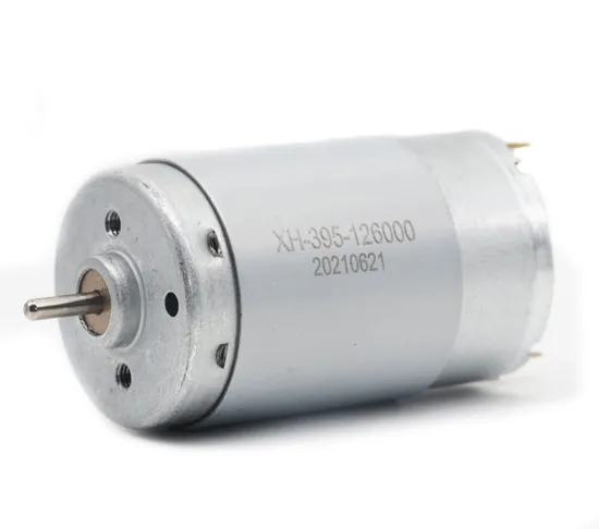 RS390/395 High Speed Electric Motor 28mm 12V 24V Micon DC Pump Motor with Encoder