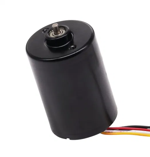 12V 18V 24V Electric Brushless Motor 36mm High Speed BLDC Motor with Ball Bearing