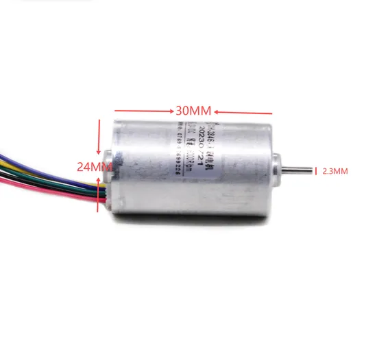 12V 24V Electric Outboard BLDC Motor 24mm 2430bl Brushless DC Motor with Controller