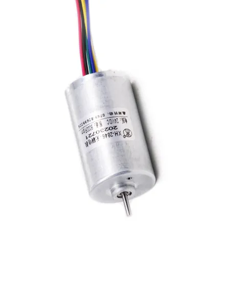 2430bl 12V 24V Mini DC Brushless Motor 24mm Diameter Micro Electric BLDC Motor for Massager