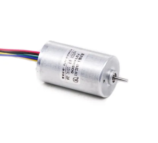 2430bl Electric BLDC Motor 24mm 5W 10W 12V 24V DC Brushless Motor for Electric Toy