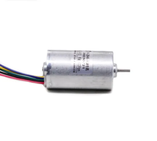 2430bl Electric BLDC Motor 24mm 5W 10W 12V 24V DC Brushless Motor for Electric Toy