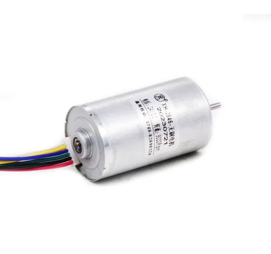 2430bl Electric BLDC Motor 24mm 5W 10W 12V 24V DC Brushless Motor for Electric Toy