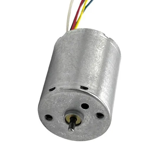 2430bl High Speed 8000rpm 12V 24V DC Brushless Motor 24mm BLDC Micro Electric Motor with Ball Bearings