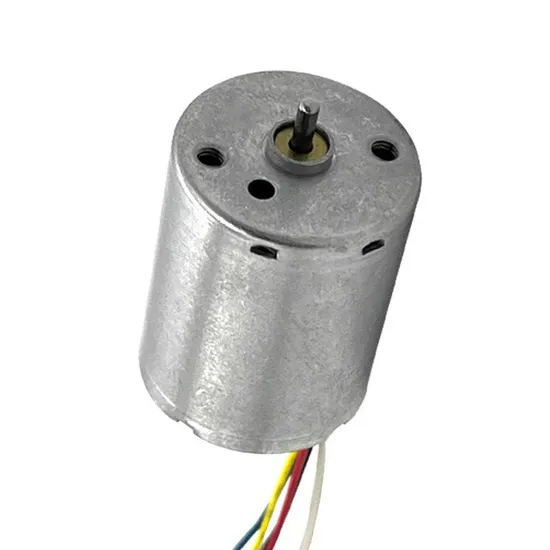 2430bl Micro DC Brushless Motor 12V 24V 36V High Speed BLDC 24mm Diameter Electric DC Motor with Controller