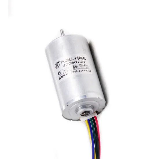 2430bl Micro DC Brushless Motor 12V 24V 36V High Speed BLDC 24mm Diameter Electric DC Motor with Controller