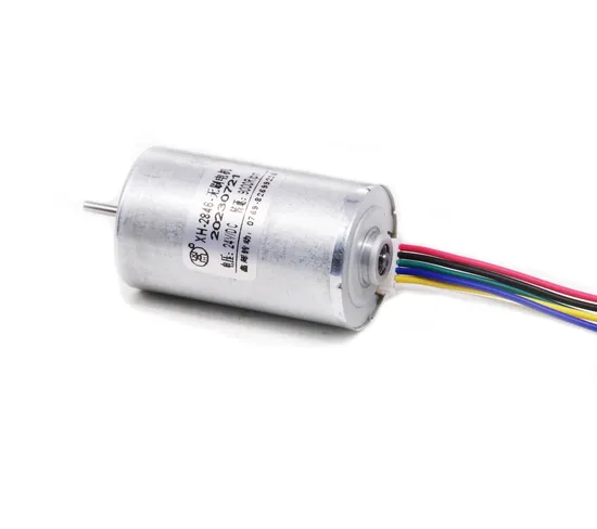 2430bl Micro DC Brushless Motor 12V 24V 36V High Speed BLDC 24mm Diameter Electric DC Motor with Controller