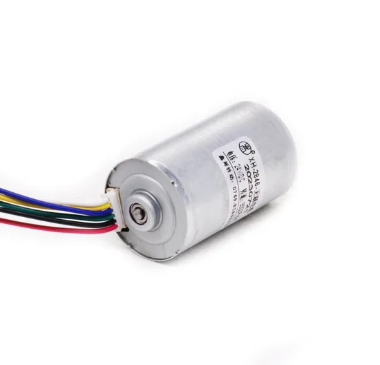 2430bl Micro DC Brushless Motor 12V 24V 36V High Speed BLDC 24mm Diameter Electric DC Motor with Controller