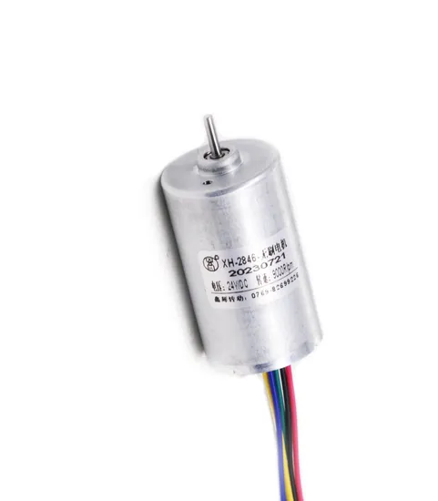 2430bl Small Size 12V 24V 36V Electric BLDC Motor 24mm Diameter Micro DC Brushless Motor for Coffee Machine