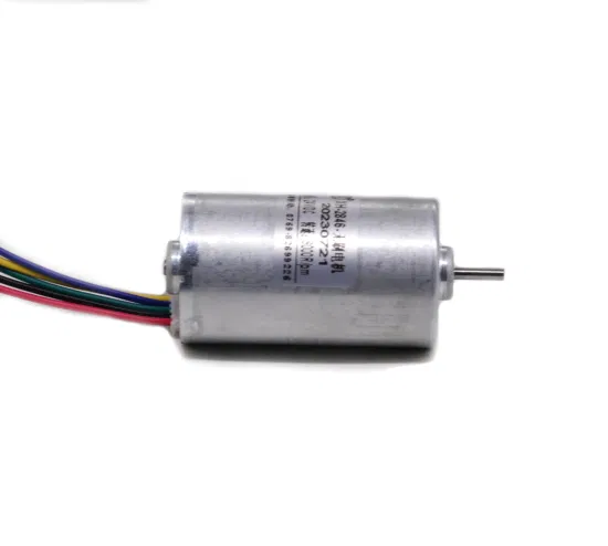 24mm BLDC Motor 2430bl 12V 24V DC Brushless Electric Outboard Motor for Toy