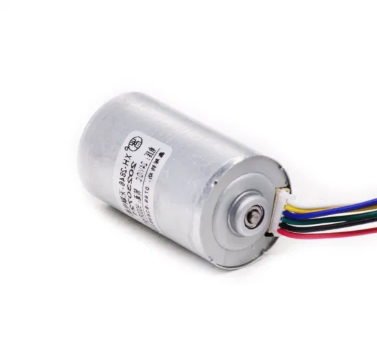 24mm DC Brushless Motor 2430bl Electric BLDC 12V 24V DC Motor for Smart Home