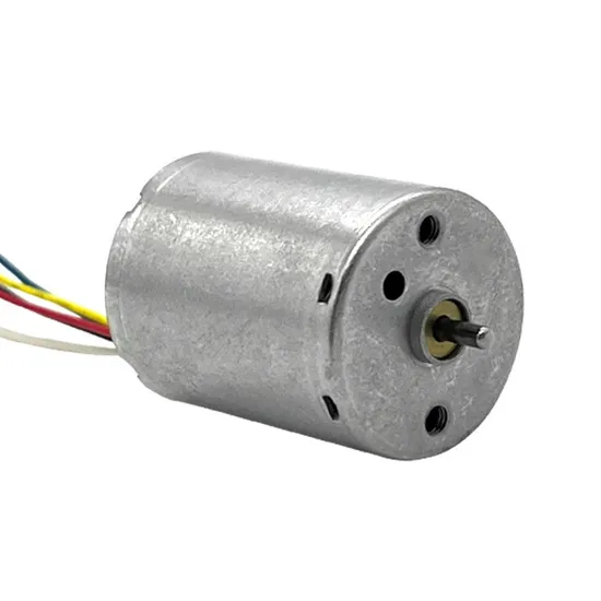 24mm Diameter 12V 24V Mini Electric BLDC Motor 2430bl Micro DC Brushless Motor with Controller