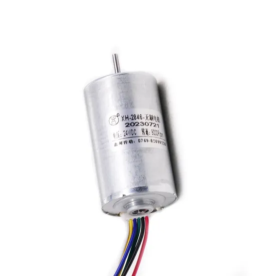 24mm Diameter Micro Fan Brushless Motor 12V 24V 36V BLDC 2430bl Mini Electric DC Motor with Ball Bearings