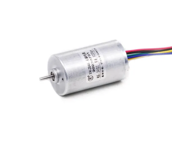 24mm Diameter Micro Fan Brushless Motor 12V 24V 36V BLDC 2430bl Mini Electric DC Motor with Ball Bearings