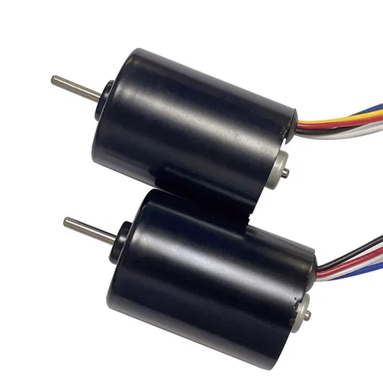 2838bl 12V 24V Micro DC Motor 28mm Diameter Electric BLDC Brushless Motor with Controller