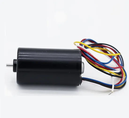 2847bl Electric BLDC Motor 28mm Diameter 12V DC Brushless Motor with Ball Bearings