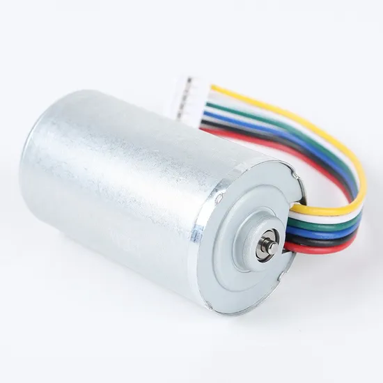 2847bl Electric BLDC Motor 28mm Diameter 12V DC Brushless Motor with Ball Bearings