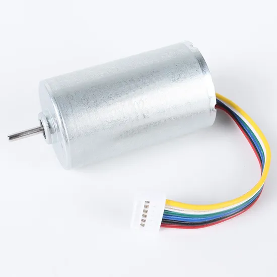 2847bl Electric BLDC Motor 28mm Diameter 12V DC Brushless Motor with Ball Bearings