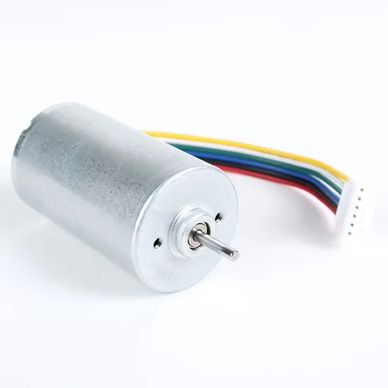 2847bl Electric BLDC Motor 28mm Diameter 12V DC Brushless Motor with Ball Bearings