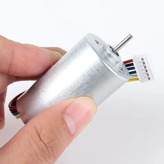 2847bl Electric BLDC Motor 28mm Diameter 12V DC Brushless Motor with Ball Bearings