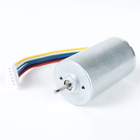 28mm Diameter Customization 12V 24V Mini BLDC Motor 2847bl Electric Brushless DC Motor with Controller