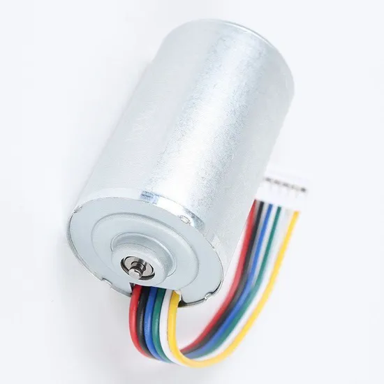 28mm Diameter Customization 12V 24V Mini BLDC Motor 2847bl Electric Brushless DC Motor with Controller