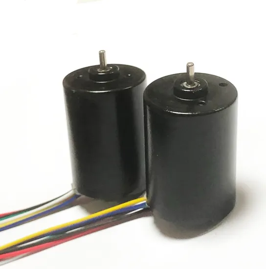 28mm Diameter Micro Electric DC Motor 2838bl 12V 24V BLDC Small Brushless Motor with PWM/Brake