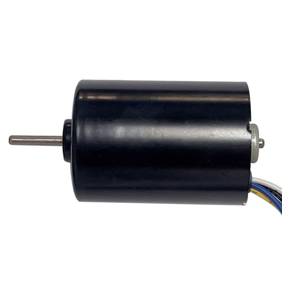 28mm Diameter Micro Electric DC Motor 2838bl 12V 24V BLDC Small Brushless Motor with PWM/Brake