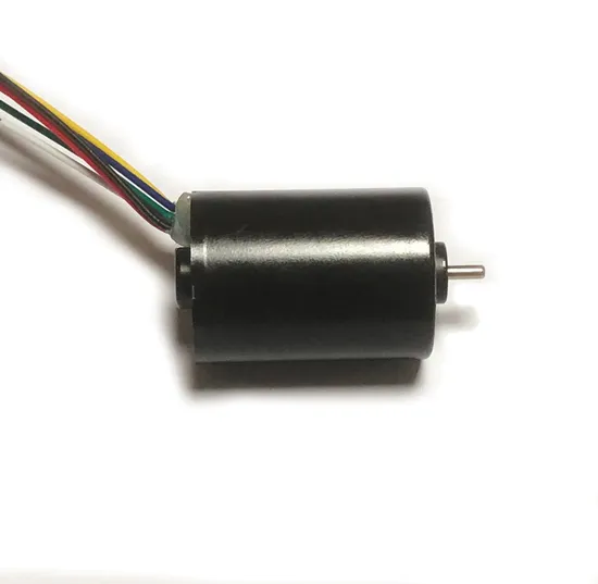 28mm Diameter Micro Electric DC Motor 2838bl 12V 24V BLDC Small Brushless Motor with PWM/Brake