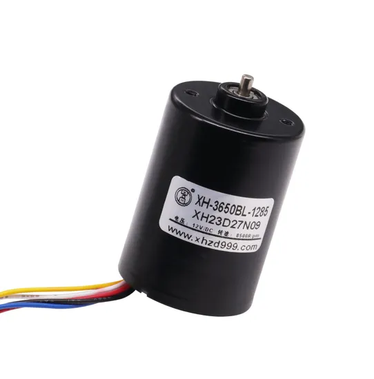 3650bl High Speed Electric Brushless Motor 36mm Diameter 12V 24V Micro BLDC Motor with Controller