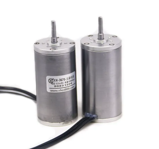 3670bl High Power 36mm Diameter BLDC Motor 12V 24V 36V Brushless Electric DC Bike Motor for Toy