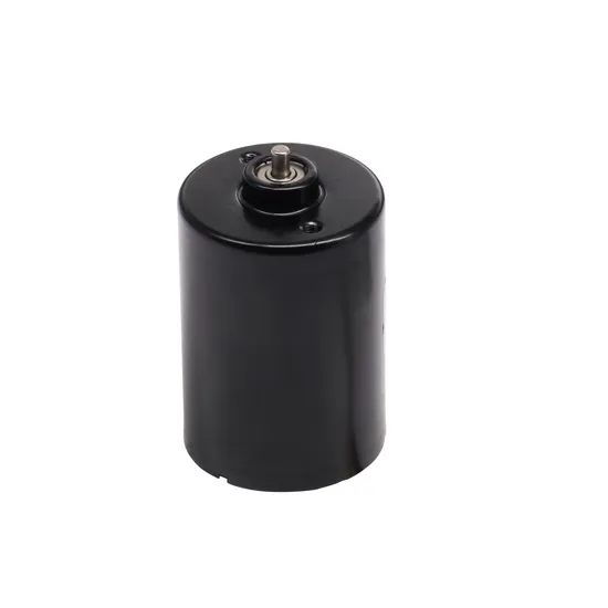 36mm BLDC Motor 3657bl Electric Car Brushless DC Motor with PWM/Brake/Ball Bearings