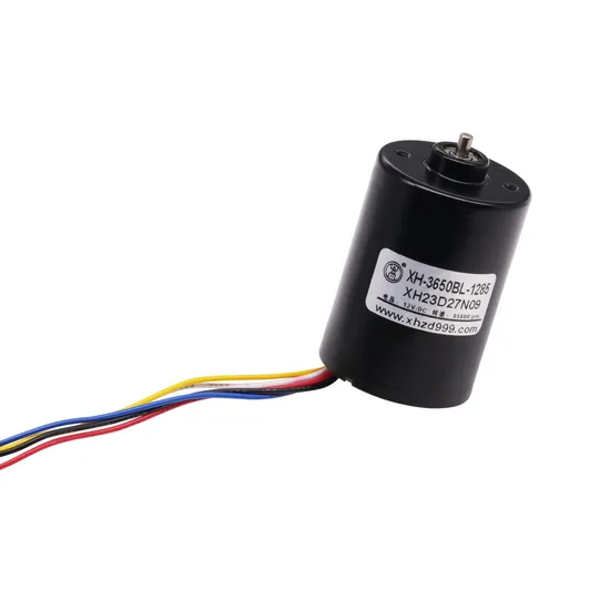 36mm Diameter 12V 24V BLDC Micro DC Motor 3650bl Brushless Electric DC Motor with PWM/ Brake/ Forward/ Reverse