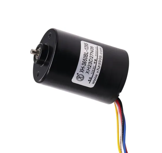 36mm Diameter 12V 24V Brushless DC Motor 3650bl Electric BLDC Micro DC Motor for Smart Home